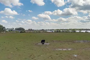 9952 303rd Ave E, Duette, FL 34219 - Photo 23