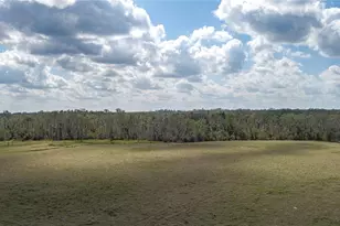 9952 303rd Ave E, Duette, FL 34219 - Photo 25