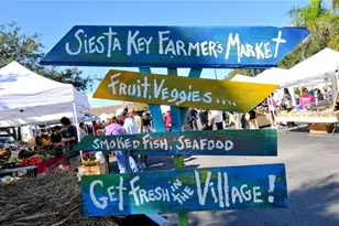 1249 Dockside Pl, Sarasota, FL 34242 - Photo 33