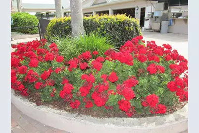 5712 Cottonwood Street, Bradenton, FL 34203 - Photo 55