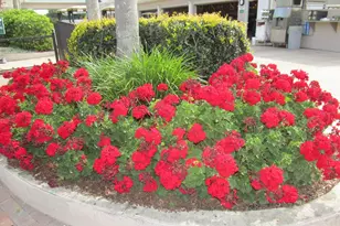 5712 Cottonwood St, Bradenton, FL 34203 - Photo 55