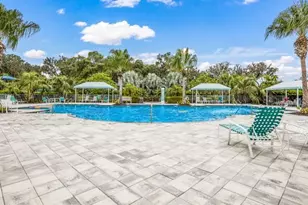 10914 Blue Magnolia Ln, Parrish, FL 34219 - Photo 37