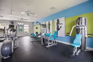 10914 Blue Magnolia Ln, Parrish, FL 34219 - Photo 41