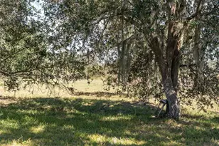 1510 Lena Ln, Sarasota, FL 34240 - Photo 33