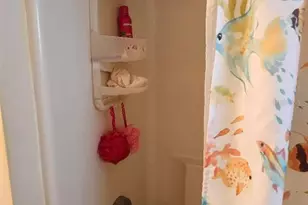 2207 Indiana Ave, Bradenton, FL 34207 - Photo 21