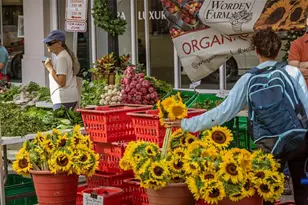 512 Laurel Pk Dr, Sarasota, FL 34236 - Photo 47