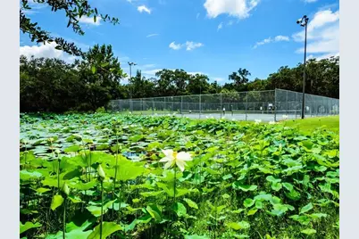 1471 Arcadia Avenue, Sarasota, FL 34232 - Photo 83