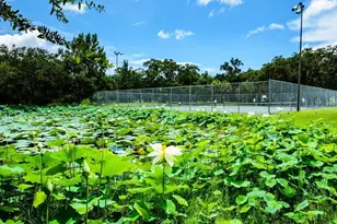 1471 Arcadia Ave, Sarasota, FL 34232 - Photo 83