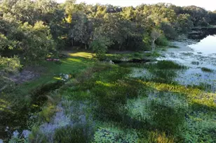 11990 SE 112th Avenue Rd, Belleview, FL 34420 - Photo 3