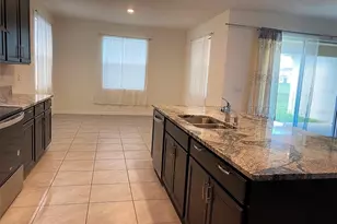 13393 Golden Lime Ave, Spring Hill, FL 34609 - Photo 7