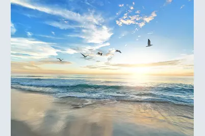 2427 Tulip Street, Sarasota, FL 34239 - Photo 33