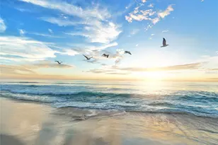 2427 Tulip St, Sarasota, FL 34239 - Photo 33