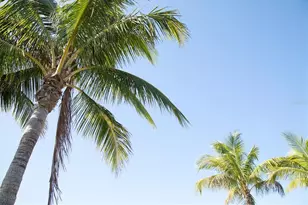 396 Aruba Cir, Bradenton, FL 34209 - Photo 55