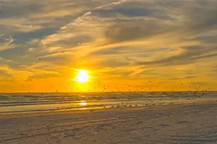 1718 Caribbean Dr, Sarasota, FL 34231 - Photo 65