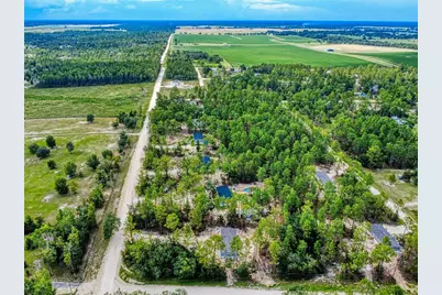 611 NE 130 Avenue NE, Williston, FL 32696 - Photo 3