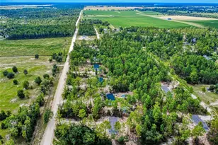 611 NE 130 Ave NE, Williston, FL 32696 - Photo 3