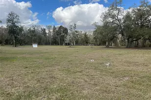 6766 264th St, Branford, FL 32008 - Photo 3