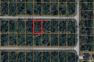 13165 Harbison Ave, Port Charlotte, FL 33953 - Photo 1