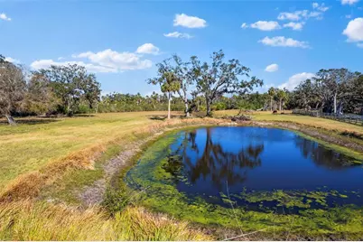 7000 Us-19, Terra Ceia, FL 34250 - Photo 11