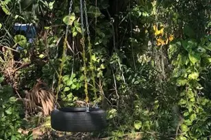 2070 59th St, Sarasota, FL 34243 - Photo 43