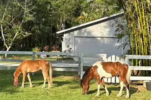 2070 59th St, Sarasota, FL 34243 - Photo 3