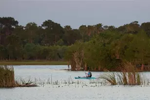 11716 Strandhill Ct, Lakewood Ranch, FL 34202 - Photo 87