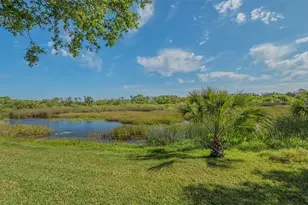 5934 Guarino Dr, Sarasota, FL 34238 - Photo 33