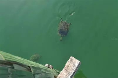 1431 57th Street W #1431, Bradenton, FL 34209 - Photo 59