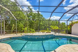 11551 30th Cove E, Parrish, FL 34219 - Photo 41