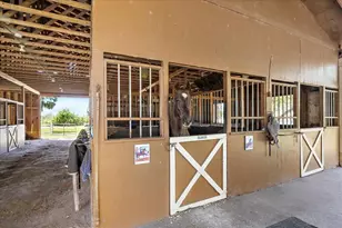 8280 Ibis St, Sarasota, FL 34241 - Photo 93