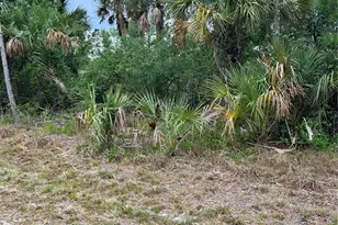 361 Juper St, Port Charlotte, FL 33953 - Photo 1