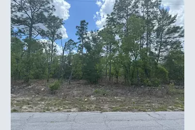 2984 W Liza Place, Dunnellon, FL 34433 - Photo 1