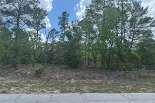 2984 W Liza Pl, Dunnellon, FL 34433 - Photo 1