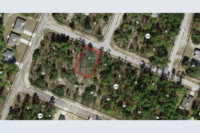 3000 W Liza Place, Dunnellon, FL 34433 - Photo 5