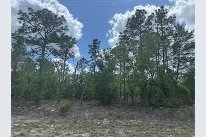 3000 W Liza Place, Dunnellon, FL 34433 - Photo 1