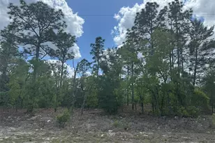 3000 W Liza Pl, Dunnellon, FL 34433 - Photo 1