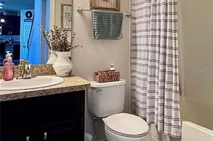 10934 79th St E, Parrish, FL 34219 - Photo 39