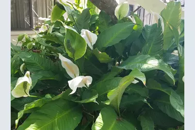 7842 Eagle Creek Drive #7842, Sarasota, FL 34243 - Photo 35