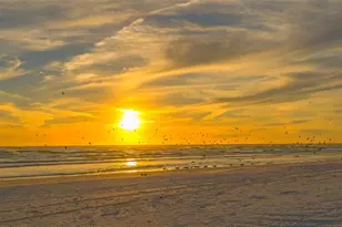 4852 Featherbed Ln, Sarasota, FL 34242 - Photo 73