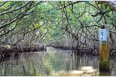 845 Benjamin Franklin Drive #101, Sarasota, FL 34236 - Photo 49