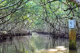 845 Benjamin Franklin Dr, Sarasota, FL 34236 - Photo 49