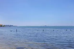 3931 Bay Shore Rd, Sarasota, FL 34234 - Photo 53