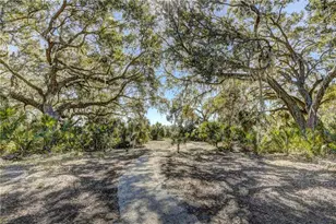 9725 Last Lgt Gln, Parrish, FL 34219 - Photo 7