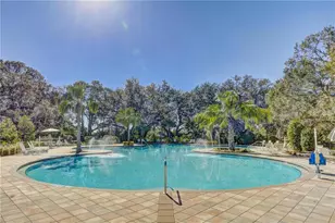 9725 Last Lgt Gln, Parrish, FL 34219 - Photo 35