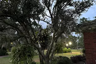 708 E Main St, Wauchula, FL 33873 - Photo 59