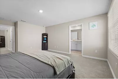 6314 Distant Haze Place, Palmetto, FL 34221 - Photo 35