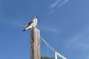 111 Tidy Island Blvd, Bradenton, FL 34210 - Photo 77