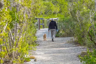 5430 Eagles Point Cir, Sarasota, FL 34231 - Photo 59