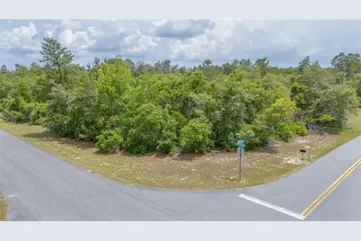 Tbd Lot 27 SW 158th St Road, Ocala, FL 34473 - Photo 13