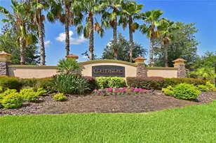 11342 77th St E, Parrish, FL 34219 - Photo 27